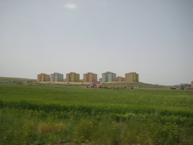 Beyobası